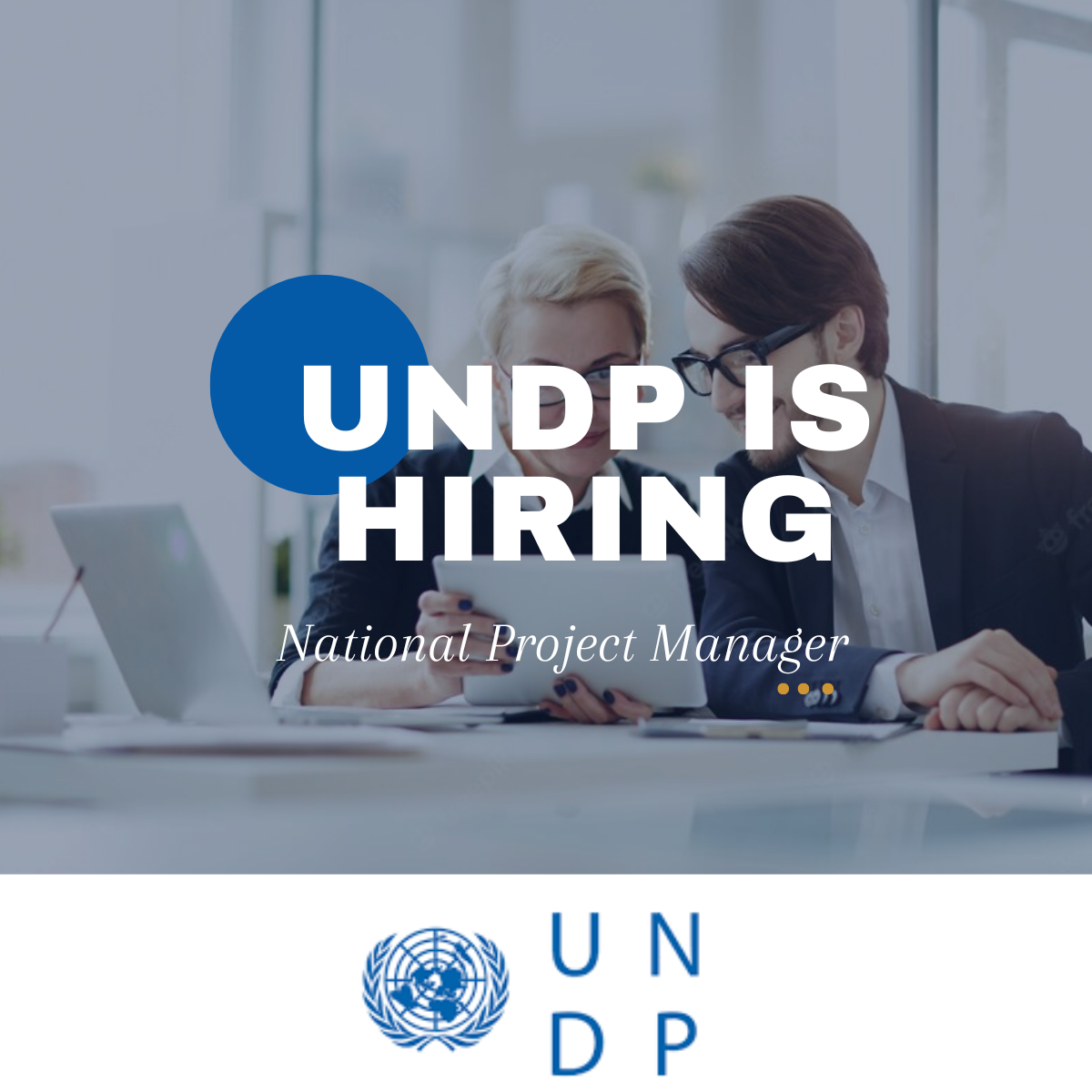 Join the United Nations Development Programme (UNDP) as a National Project Manager. Apply today and contribute to global development!