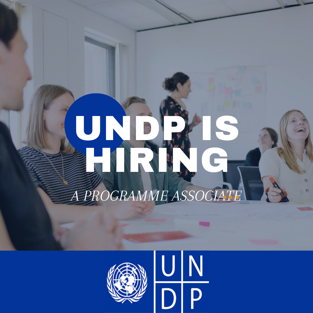 The United Nations Development Programme (UNDP) is currently looking for a Programme Associate. Apply now.