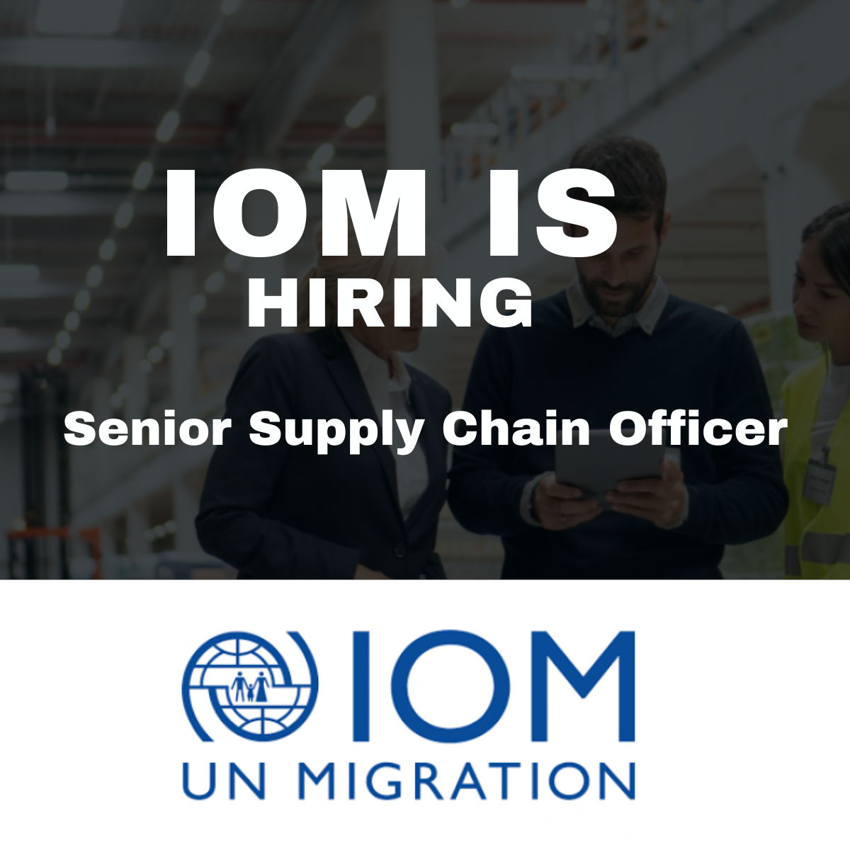 The International Migration Organization (IOM) is hiring a Senior Supply Chain Officer : APPLY